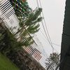 yaz56902