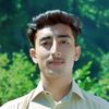 nomi_bhai7