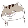 anh_phu_ho_64