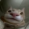 melloelo_23