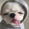 puiuko