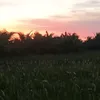 tudinhcong