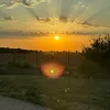 tomm0014