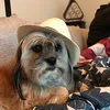 heyitsmewilliamboi