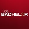 The Bachelor