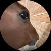 dan_14344