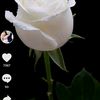 76140428ert