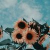 aesthetic_me112