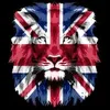 paul42unitedkingdom