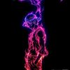 andiian_17