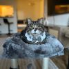 jadshoker_