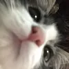 tuyetlinhh1