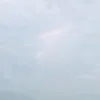 31404794481
