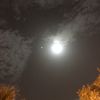 sel12345am
