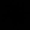 l12333544