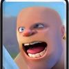 brad.waddd1