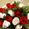 maha_5676
