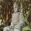 anhchanghuca