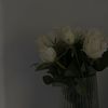flsmdi._.4