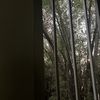 fofo.e08