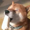 maxiyam1