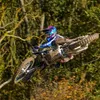 bayliss_21