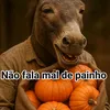 lyandro.silva