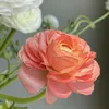 nguyen.binh.phuon3