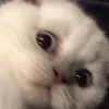 minamiji_