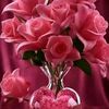 mohammad.abdul.sha