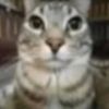 patoodxd