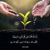 jameelbutt96