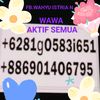 WAHYU ISTRIA N