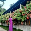 sinhdinh1984