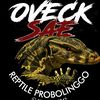 oveckjelalin