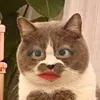kimmmtem