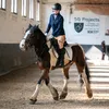 horselover_sara