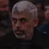 mahmoudg172