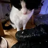 melvin.msclt