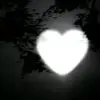 lifedaisy13