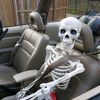 skelly_pirate_jack