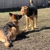 kita_koda_nikita