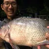 Trốn vợ đi câu 72