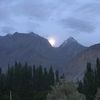 mirza.ali177