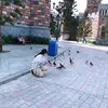 coduyen_spa