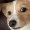 ajtddn