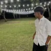 lacc_lion