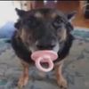 clip6178
