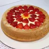 وردةالربيع�������91