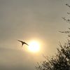 rebecca17_24_